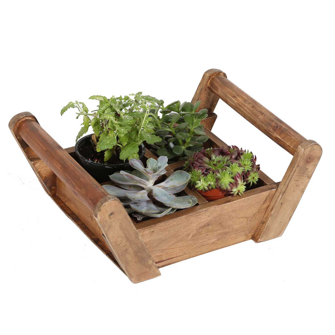Plant box Adria