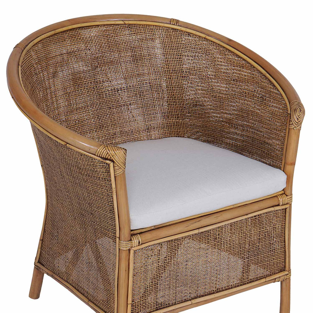 Rotan fauteuil Sumatra bruin
